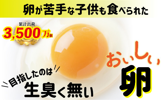 卵が苦手な子どもも食べられた！生臭くないおいしい卵 6個入×5P　Gbn-A03 たまご 玉子 鶏卵 生卵 生たまご