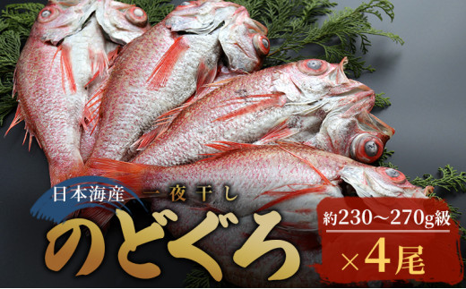 日本海産 のどぐろ開き 230g～270g 4尾（のど黒・アカムツ） 富山 魚津