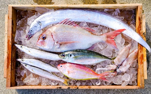 漁師の鮮魚箱（約2kg）(A669-1)