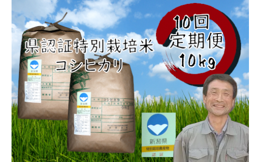【10か月定期便】特別栽培米 コシヒカリ 10kg×10回 新潟県認証  1G03200 983535 - 新潟県阿賀野市