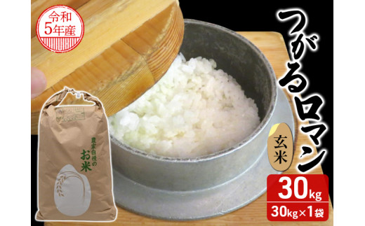 ☆ 令和4年　 　青森県産 　つがるロマン　 玄米〈30kg〉