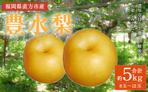 豊水 梨 約5kg (8～12玉)