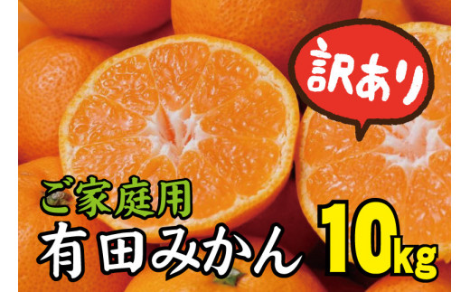 訳あり】農家直送 有田みかん 約10kg ご家庭用 サイズ混合 ※2024年11月