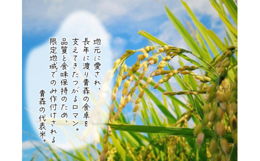 【数量限定】青森県鰺ヶ沢町【令和5年産・新米】 つがるロマン〔玄米〕30kg（30kg×１袋）