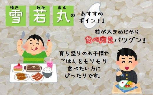 山形県三川町のふるさと納税 【令和5年産・玄米】青山農場の特別栽培米雪若丸5kg