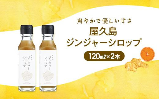 屋久島ジンジャーシロップ 小(120ml)×2本セット