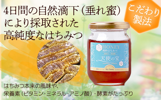 日本みつばち 蜂蜜＆無農薬 ブラックベリー ジャム