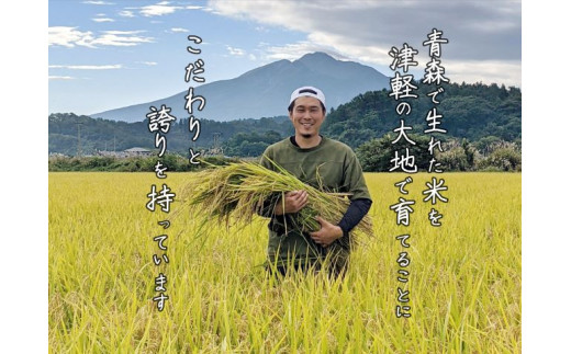 青森県鰺ヶ沢町【令和5年産・新米】【定期便】 6ヶ月連続でお届け