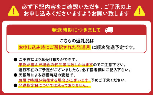 【2024年3月発送開始】 【訳あり】 熊本県産 いちご 合計 1kg (250g×4) 苺 イチゴ 【先行予約】