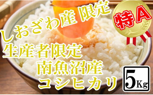 精米２kg】しおざわ産限定 生産者限定 南魚沼産コシヒカリ - 新潟県