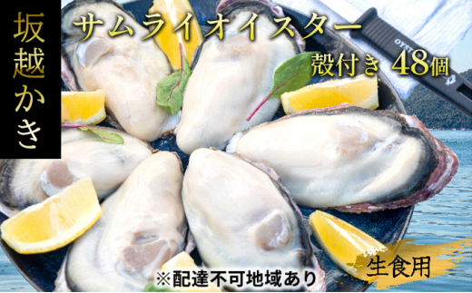 2024年1月中旬～2024年4月下旬】牡蠣 生食 坂越かき 殻付き 33個(牡蠣