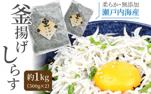 M70-0001_漁師直送！釜揚げしらすちりめん　約１ｋｇ（500ｇ×2） 266557 - 香川県三豊市