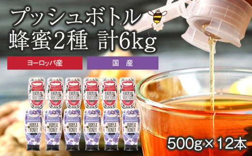 かの蜂 プッシュボトル 蜂蜜 2種 6kg（500g×12本） はちみつ 504988 - 福岡県八女市