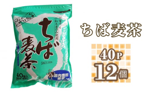 No.251 ちば麦茶40ティーパック入り12個 ／ むぎ茶 ムギ茶 大麦 焙煎 千葉県 特産品