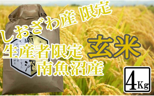 【4kg】玄米 しおざわ産限定 生産者限定 南魚沼産コシヒカリ