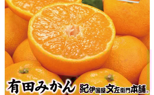 [予約受付]ブランド有田みかん 秀品5キロ/サイズお任せ ※2025年10月中旬〜2026年1月中旬頃 順次発送予定(お届け日指定不可) 紀伊国屋文左衛門本舗[sgtb140C]