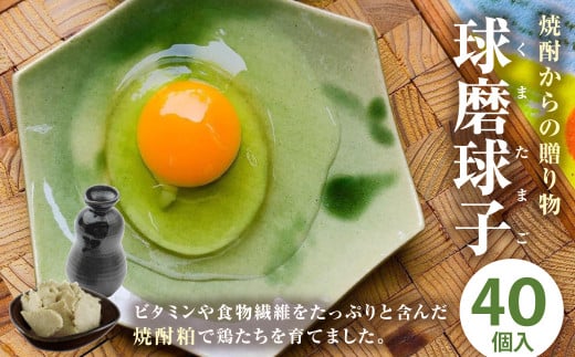 球磨球子 40個 鶏卵 卵 玉子 たまご くまたまご 949329 - 熊本県人吉市