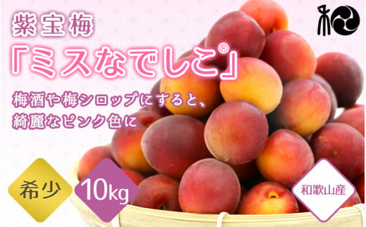 【2025年分先行予約】紫宝梅『ミスなでしこ®』【青梅：10kg】※2025年6月上中旬頃に順次発送予定【期間限定・先行予約・5/31まで】  / 田辺市 青梅 梅 紫宝梅 大梅 大玉 梅シロップ 梅酒【ngm010-1】 924935 - 和歌山県田辺市