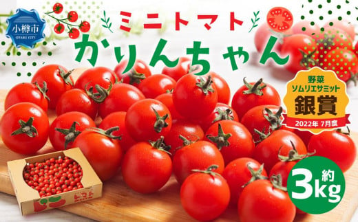 ミニトマト かりんちゃん 約3kg トマト 高糖度 972585 - 北海道小樽市