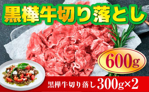 [ふるさと納税] 黒樺牛切り落とし600g 送料無料 牛肉 切り落とし 焼肉 美里町 牛肉 すき焼き しゃぶしゃぶ スライス肉 小分け 牛丼 食品 肉類 切落し 042-469