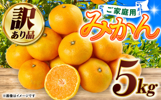 2023年12月発送】【訳あり】みかん5kg 熊本県産 訳あり 柑橘 ミカン