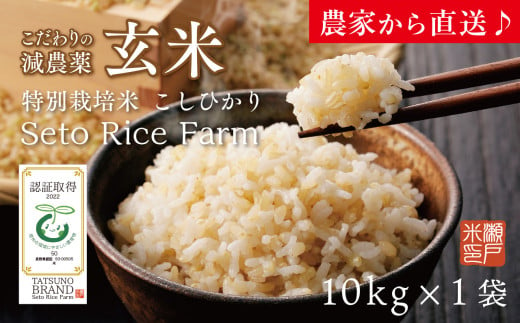 天竜ほたる米【玄米】10㎏　発送用段ボールから取り出して、紙袋のまま涼しい所で保存してください。