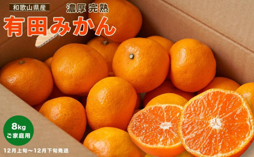 8kg 国産　バレンシア  オレンジ　有田　家庭用　みかん　柑橘　数量限定