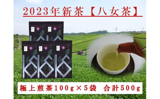 2023年新茶予約】八女茶 極上煎茶100g×5袋【2023年5月上旬発送予定