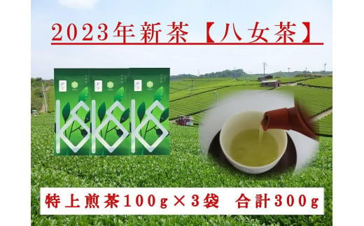 2023年新茶予約】八女茶 特上煎茶100g×3袋【2023年5月上旬発送予定