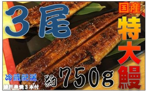 ◯魚魚丸◯お食事券61枚セット◯知立本店限定 | www.fleettracktz.com