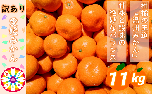 C71-7.「愛媛みかん」訳あり約11kg《愛咲果樹園》｜ふるラボ