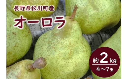 \  松川町産の美味しい果実をお届け  /