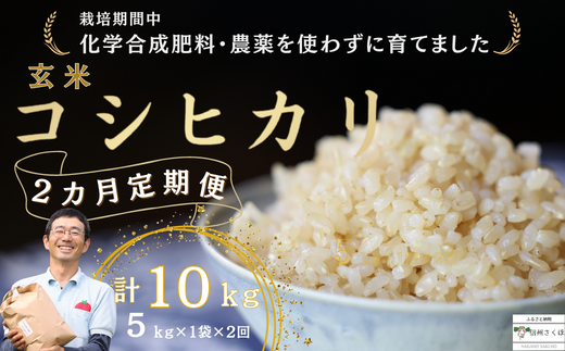 定期便 玄米 10キロ 炊きあがりのつやと香りが良く、うま味も強い ...