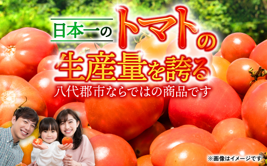 先行予約】【訳あり】八代産 トマト 2kg【2023年11月上旬より順次発送