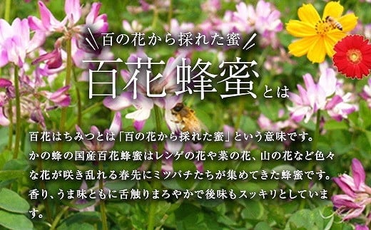 福岡県八女市のふるさと納税 かの蜂 国産 百花蜂蜜 1kg（とんがり容器500g×2本）養蜂一筋60年自慢の一品　ハチミツ 非加熱 純粋はちみつ ハニー