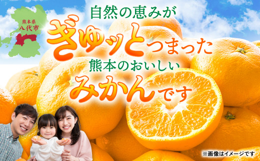 2023年12月発送】【訳あり】みかん5kg 熊本県産 訳あり 柑橘