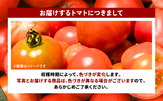 訳あり】八代産 トマト 2kg - 熊本県八代市｜ふるさとチョイス