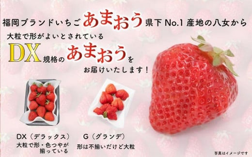 福岡県八女市のふるさと納税 【2025年3月配送開始】福岡・博多名物ブランドいちご「あまおう」 DX（デラックス）4パック 合計約1,080g＜配送不可：北海道・沖縄・離島＞