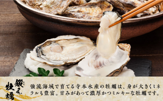 【牡蠣のうまみを凝縮！】鍛え牡蠣 大満足3点セット 3種×各2個＜有限会社寺本水産＞江田島市 [XAE032]|有限会社 寺本水産(株式会社M･Kロジ)