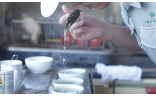 お茶の光玉園】八女煎茶 100g×３本セット - 福岡県八女市｜ふるさと