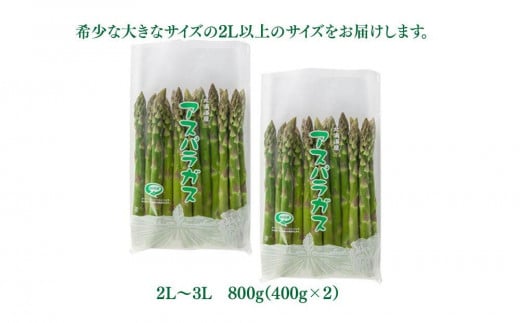 先行予約】露地物朝採りアスパラ 2L～3Lサイズ800g（400g×2）鮮度保持