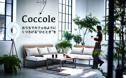 Coccole ダイニングチェア アームチェア 肘付き 椅子 イス チェア 単品