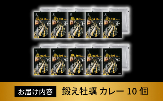 鍛え牡蠣 カレー 10個＜有限会社寺本水産＞江田島市 [XAE031] - 広島県
