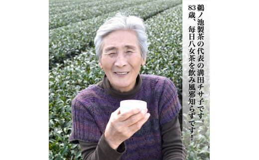 八女茶ギフト 最高級深蒸し茶3袋セット 天の抄 - 福岡県八女市