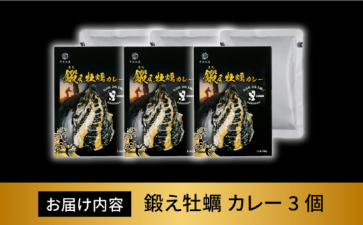 鍛え牡蠣 カレー 190g×3個＜有限会社寺本水産＞江田島市 [XAE030]