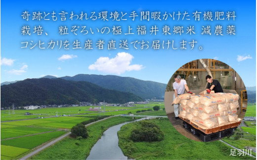 定期便12ヶ月連続】令和5年産 ふくい東郷米 特別栽培米 減農薬