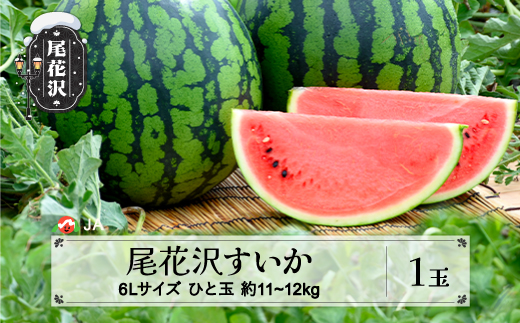 先行予約 尾花沢 すいか 6Lサイズ(約11～12㎏)×1玉 8月1日～8月10日頃発送 2024年産 令和6年産 JA ja-su6xx1 252038 - 山形県尾花沢市