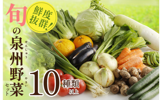 旬の野菜セット 詰め合わせ 10種類以上 国産 新鮮 お試し おまかせ お