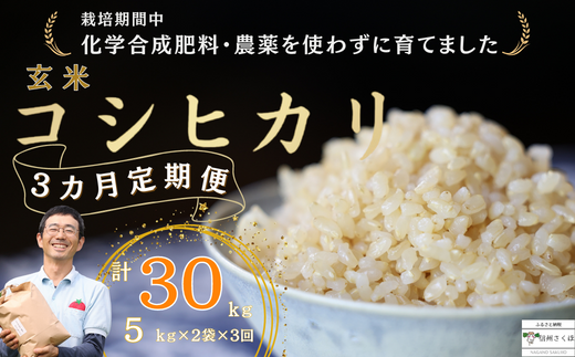 新米【令和5年産】長野県コシヒカリ30キロ白米 - 米/穀物