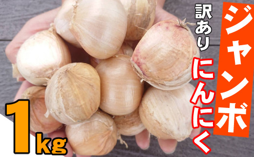 その他野菜のふるさと納税 カテゴリ・ランキング・一覧【ふるさと